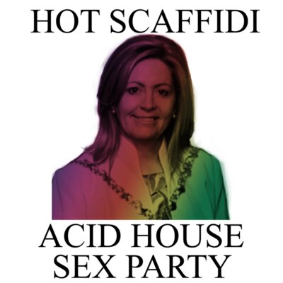 lisa scafidi acid